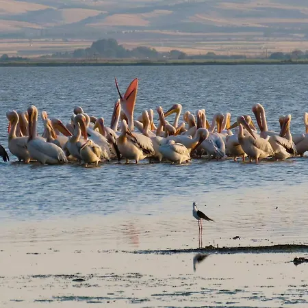 The House Angeliki Kanália