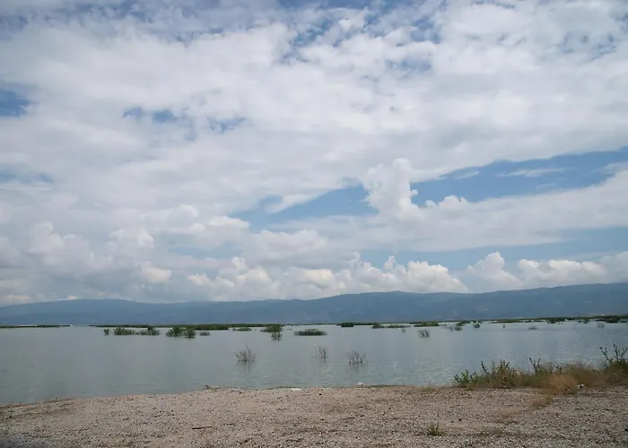 Dom wakacyjny The House Angeliki