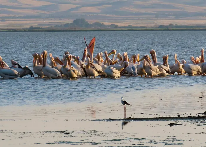 The House Angeliki Kanália